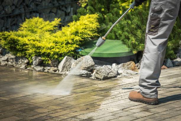 Best Solar Panel Cleaning  in Downingtown, PA